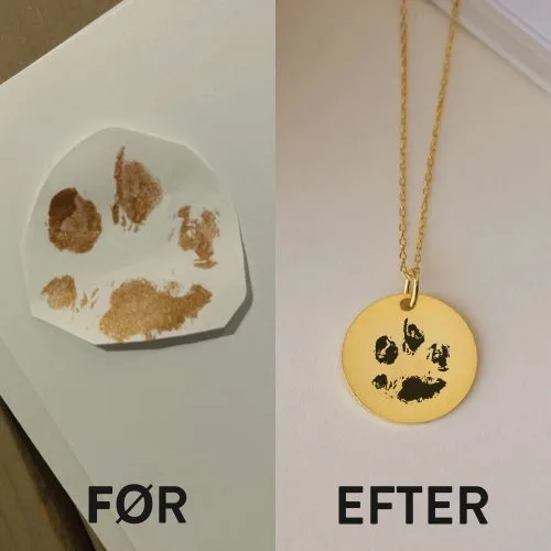 Hundepote aftryk